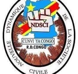 Epidemie de Mpox en RDC: la NDSCI s&rsquo;inquiète de la faible Mobilisation pour l&rsquo;éradication de cette Epidémie.