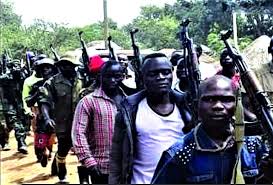 Ituri : Le parlement de jeunes tient pour responsable de l&rsquo;insécurité la milice Zaïre.